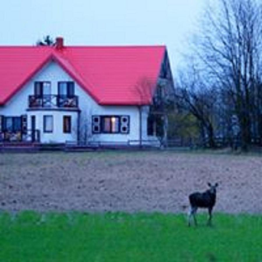 Losiowy Kat Goniadz Bagian luar foto